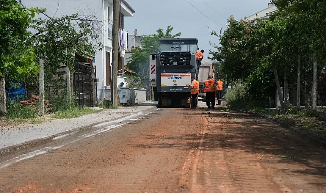 AVCI 