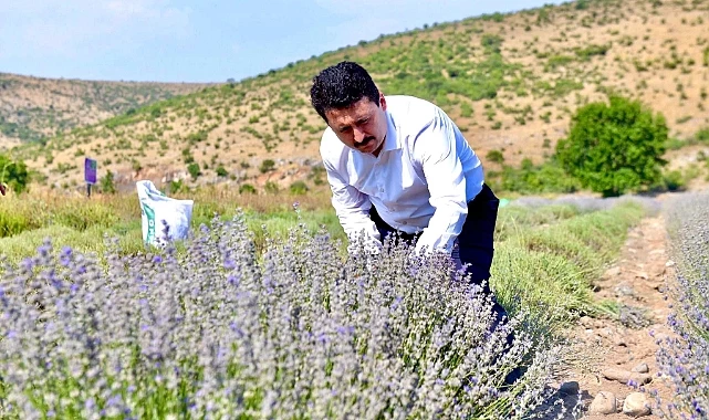 ALTIEYLÜL