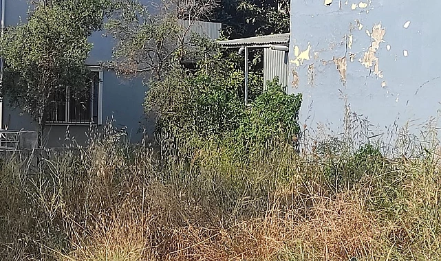 BEYAZEVLER MAHALLESİNDE KURU OTLAR TEHLİKE SAÇIYOR.